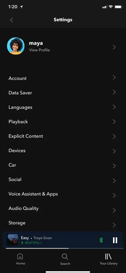 Spotify App Screenshot 4